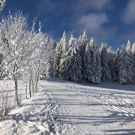 Hoehengasthaus Kolmenhof An Der Donauquelle 招待所