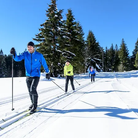 Hoehengasthaus Kolmenhof An Der Donauquelle Pensión Furtwangen