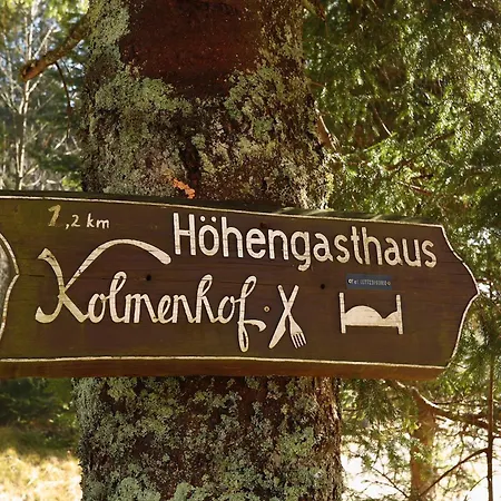 Hoehengasthaus Kolmenhof An Der Donauquelle ゲストハウス フルトヴァンゲン
