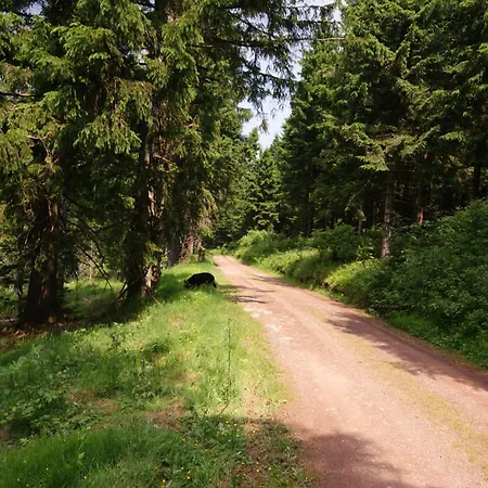 Höhengasthaus Kolmenhof An Der Donauquelle 3* Furtwangen