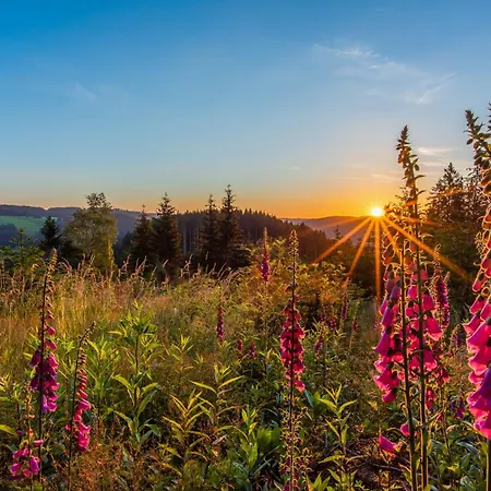 Hoehengasthaus Kolmenhof An Der Donauquelle 富特旺根