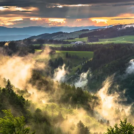 Höhengasthaus Kolmenhof An Der Donauquelle Gasthof