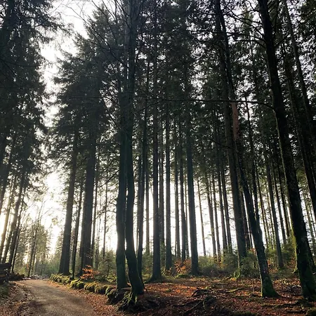 Hoehengasthaus Kolmenhof An Der Donauquelle
