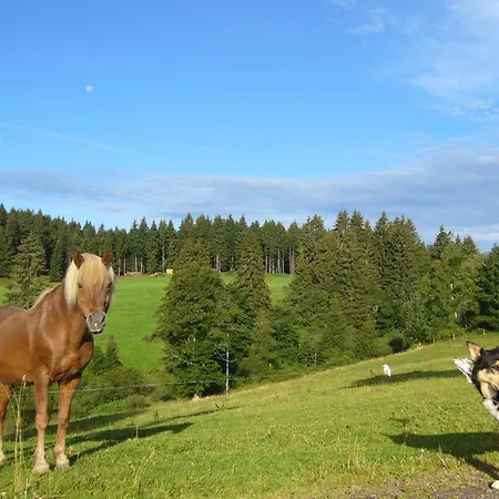 Casa de hóspedes Hoehengasthaus Kolmenhof An Der Donauquelle