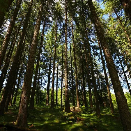 Hoehengasthaus Kolmenhof An Der Donauquelle Furtwangen