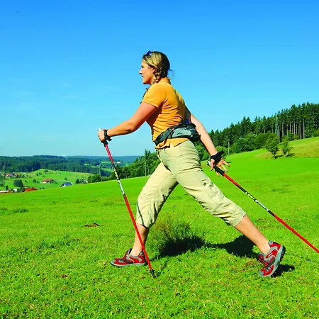 招待所 Hoehengasthaus Kolmenhof An Der Donauquelle 3*