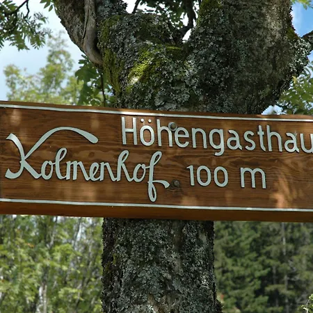 Hoehengasthaus Kolmenhof An Der Donauquelle 招待所 富特旺根