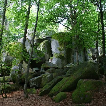 Hoehengasthaus Kolmenhof An Der Donauquelle 3* 富特旺根