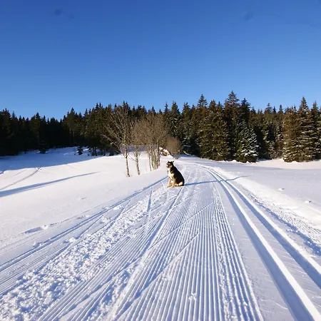 Hoehengasthaus Kolmenhof An Der Donauquelle 招待所 富特旺根