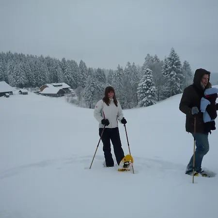 Hoehengasthaus Kolmenhof An Der Donauquelle 招待所