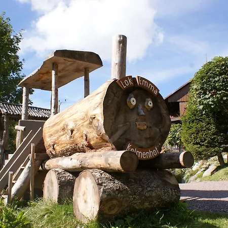 招待所 Hoehengasthaus Kolmenhof An Der Donauquelle 富特旺根