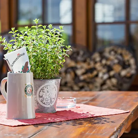 Hoehengasthaus Kolmenhof An Der Donauquelle 富特旺根