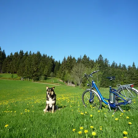 Hoehengasthaus Kolmenhof An Der Donauquelle