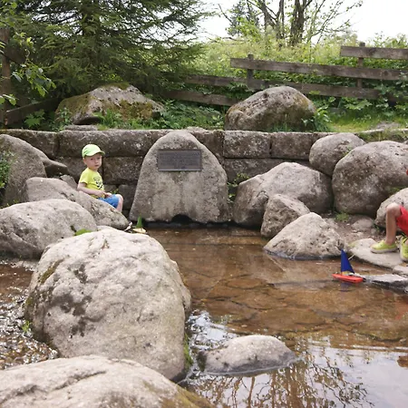 Hoehengasthaus Kolmenhof An Der Donauquelle 3* 富特旺根