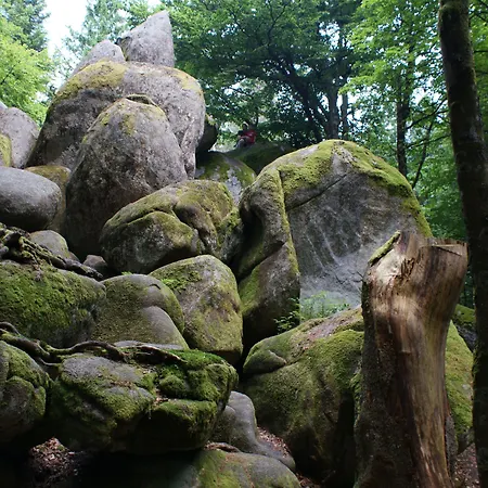 Der Kolmenhof - Dein Ort An Der Quelle Furtwangen im Schwarzwald