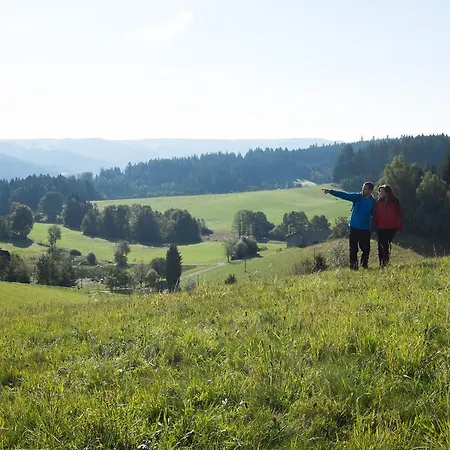 Hoehengasthaus Kolmenhof An Der Donauquelle 招待所 富特旺根
