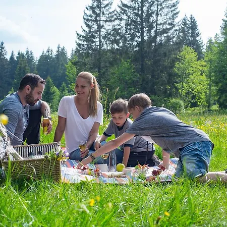 Hoehengasthaus Kolmenhof An Der Donauquelle Furtwangen