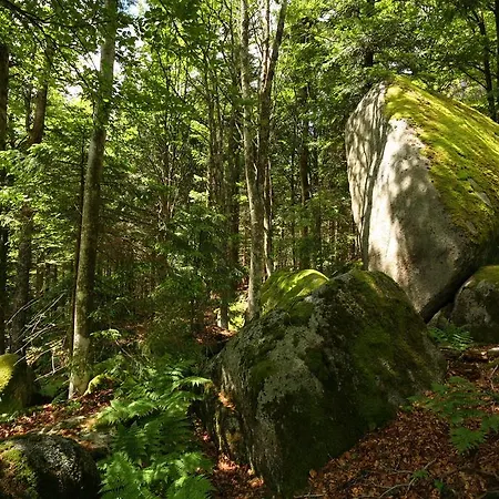 Гостевой дом Hoehengasthaus Kolmenhof An Der Donauquelle Фуртванген