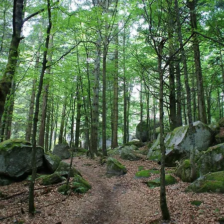 Hoehengasthaus Kolmenhof An Der Donauquelle Фуртванген
