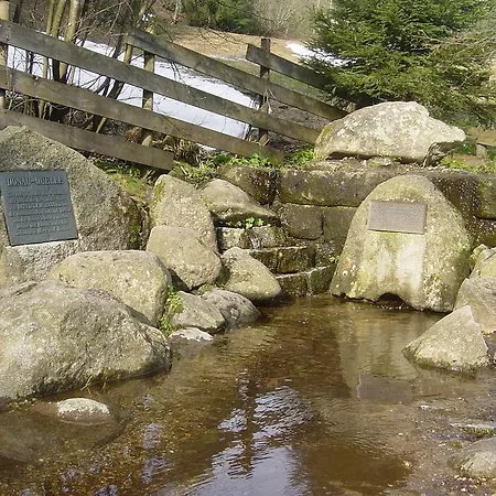 Höhengasthaus Kolmenhof An Der Donauquelle Gasthof Furtwangen