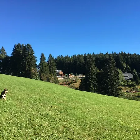 Hoehengasthaus Kolmenhof An Der Donauquelle